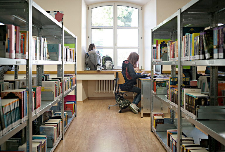 Ecole - bibliothèque