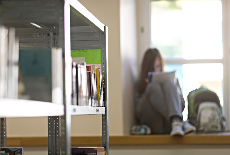 Ecole - bibliothèque