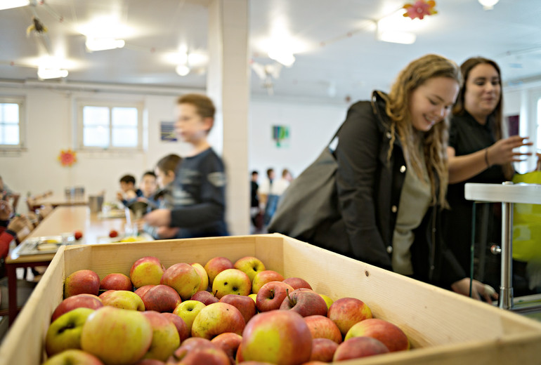 Ecole - cantine