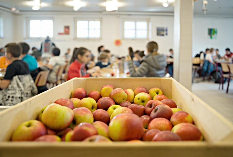 Ecole - cantine