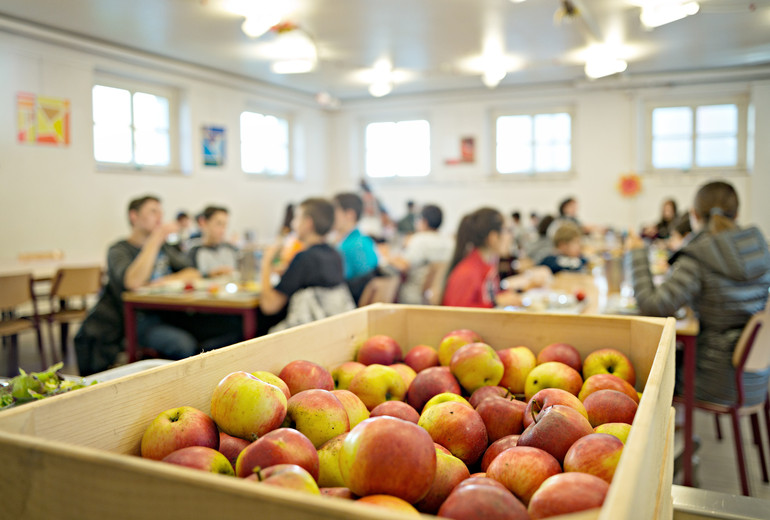 Ecole - cantine